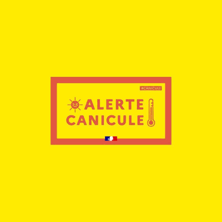 canicule